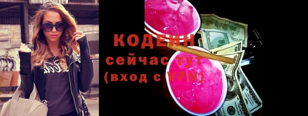 хмурый Карпинск