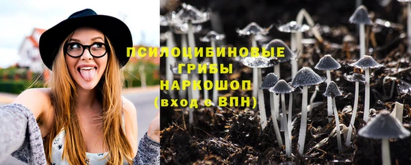 шишки Новокубанск