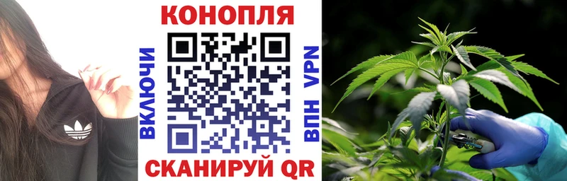 Бошки Шишки Bruce Banner  наркота  мориарти телеграм  Себеж 